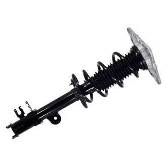 FCS® - Rear Driver Side Complete Strut Assembly