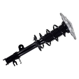 FCS® - Rear Passenger Side Complete Strut Assembly