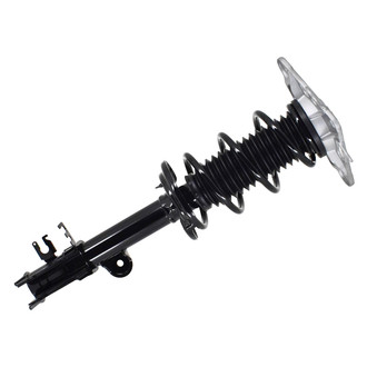 FCS® - Rear Driver Side Complete Strut Assembly