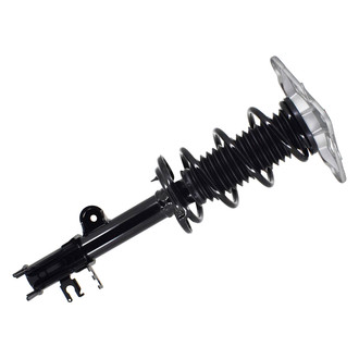 FCS® - Rear Passenger Side Complete Strut Assembly