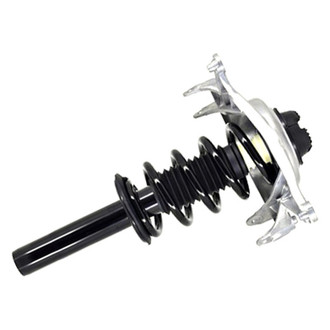 FCS® - Front Driver Side Complete Strut Assembly