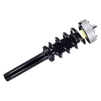 FCS® - Front Driver or Passenger Side Complete Strut Assembly