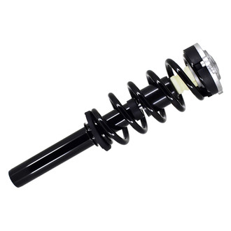 FCS® - Front Driver or Passenger Side Complete Strut Assembly