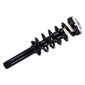 FCS® - Front Driver or Passenger Side Complete Strut Assembly
