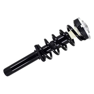 FCS® - Front Driver or Passenger Side Complete Strut Assembly