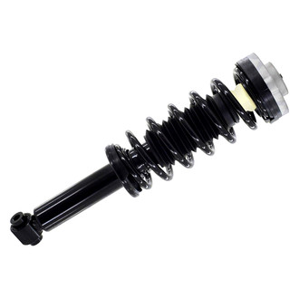 FCS® - Rear Driver or Passenger Side Complete Strut Assembly