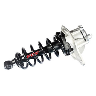 FCS® - Rear Driver Side Complete Strut Assembly