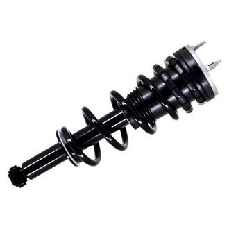 FCS® - Rear Driver or Passenger Side Complete Strut Assembly