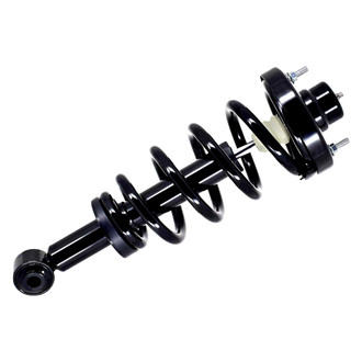 FCS® - Rear Driver or Passenger Side Complete Strut Assembly
