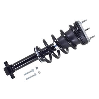 FCS® - Front Driver or Passenger Side Complete Strut Assembly