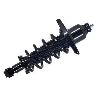 FCS® - Rear Passenger Side Complete Strut Assembly