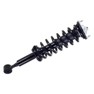 FCS® - Front Driver or Passenger Side Complete Strut Assembly