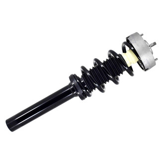 FCS® - Front Driver or Passenger Side Complete Strut Assembly