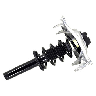 FCS® - Front Driver Side Complete Strut Assembly