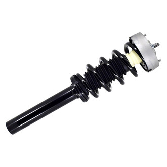 FCS® - Front Driver or Passenger Side Complete Strut Assembly