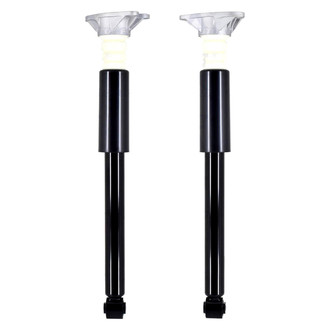 FCS® - Rear Driver or Passenger Side Shock Absorbers