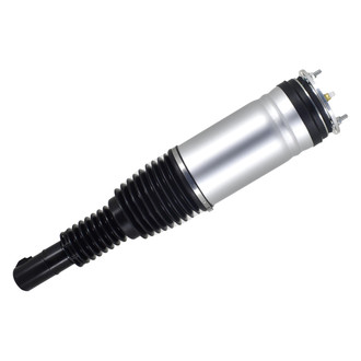 FCS® - Front Passenger Side Air Non-Adjustable Suspension Strut