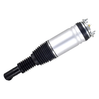 FCS® - Front Driver Side Air Non-Adjustable Suspension Strut