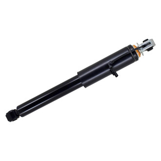FCS® - Rear Driver or Passenger Side Air Non-Adjustable Suspension Strut