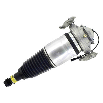 FCS® - Rear Driver Side Air Non-Adjustable Suspension Strut