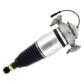 FCS® - Rear Passenger Side Air Non-Adjustable Suspension Strut