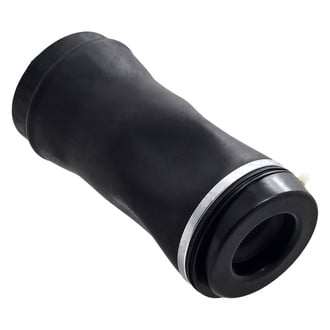 FCS® - Rear Air Suspension Spring