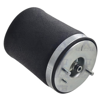 FCS® - Rear Driver Side Air Suspension Spring