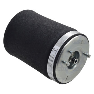 FCS® - Rear Passenger Side Air Suspension Spring