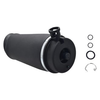 FCS® - Rear Air Suspension Spring