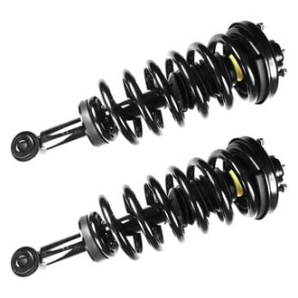 FCS® - Rear Complete Strut Assembly Set