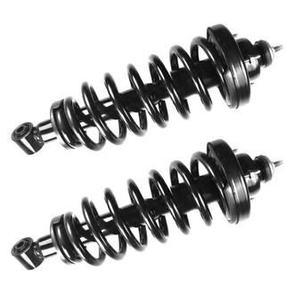 FCS® - Rear Complete Strut Assembly Set