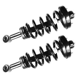 FCS® - Rear Complete Strut Assembly Set