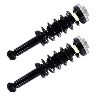 FCS® - Rear Complete Strut Assembly Set
