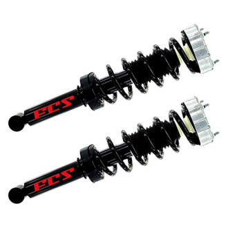 FCS® - Rear Complete Strut Assembly Set