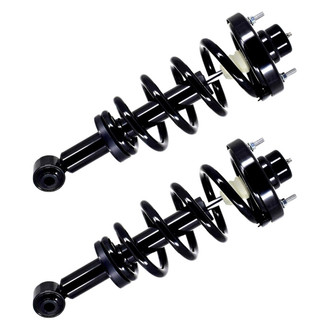 FCS® - Rear Complete Strut Assembly Set