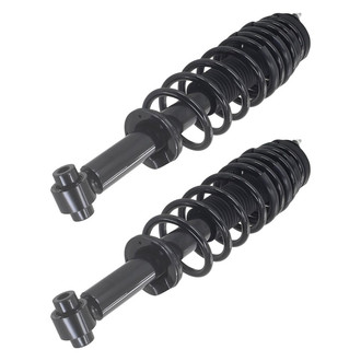 FCS® - Rear Complete Strut Assembly Set