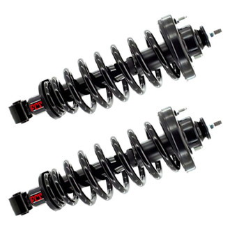 FCS® - Rear Complete Strut Assembly Set