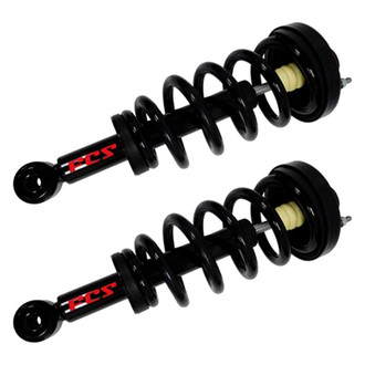 FCS® - Rear Complete Strut Assembly Set