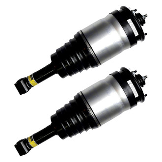 FCS® - Rear Air Non-Adjustable Strut Set