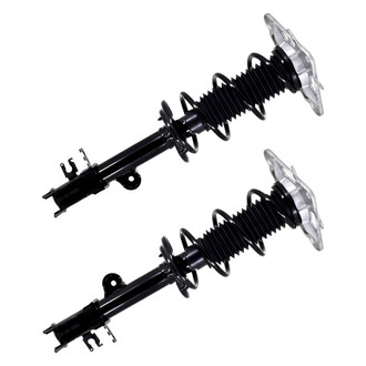 FCS® - Rear Complete Strut Assembly Set