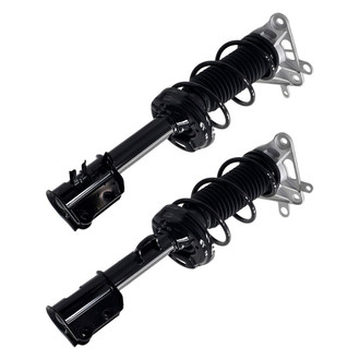 FCS® - Rear Complete Strut Assembly Set