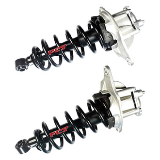 FCS® - Rear Complete Strut Assembly Set