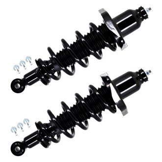 FCS® - Rear Complete Strut Assembly Set