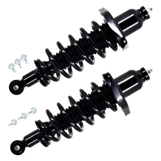 FCS® - Rear Complete Strut Assembly Set