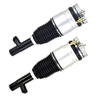 FCS® - Front Air Non-Adjustable Strut Set