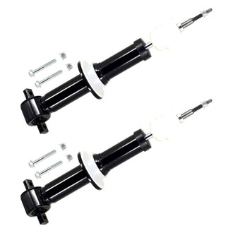 FCS® - Front Shock Absorber Set