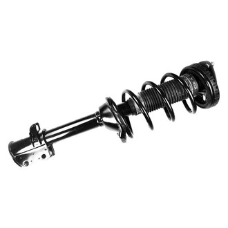 FCS® - Rear Passenger Side Complete Strut Assembly