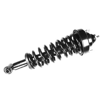 FCS® - Rear Driver or Passenger Side Complete Strut Assembly