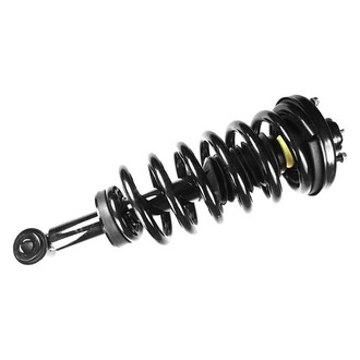 FCS® - Rear Driver or Passenger Side Complete Strut Assembly