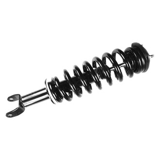 FCS® - Front Driver or Passenger Side Complete Strut Assembly